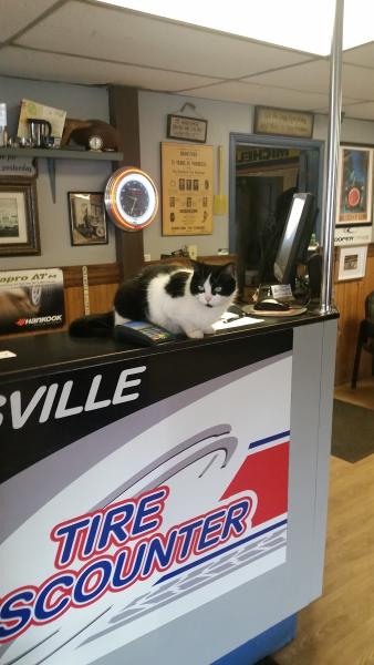 Cainsville Tire Discounter