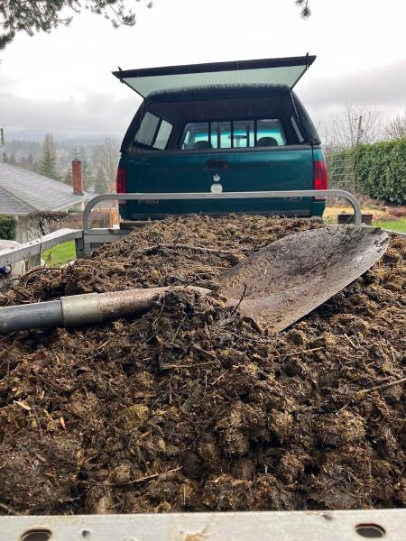 Ernie's Blackpoint Repair