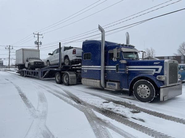 Georie Transport