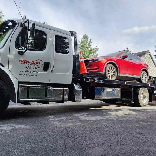 Iron Dog Towing & Transport