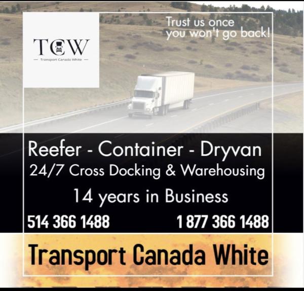 Transport Canada White