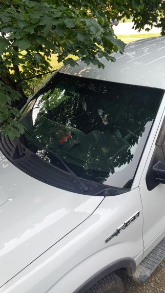 Troy's Auto Glass