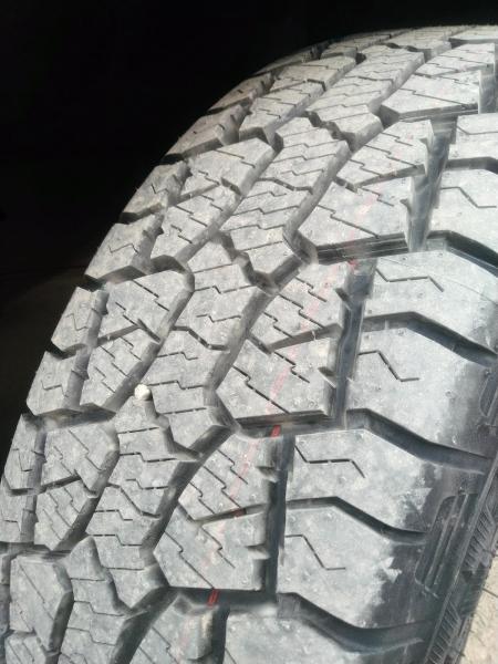 Thor Tire Distributors
