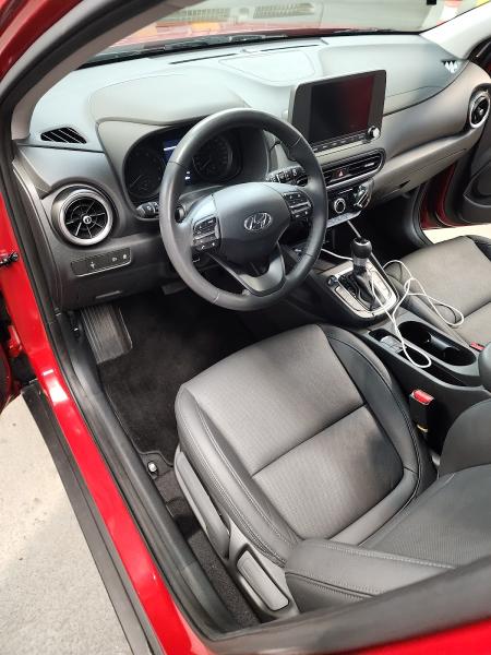 Leopard Mobile Detailing & Window Tinting