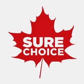 Sure Choice Auto Services Centre Ltd
