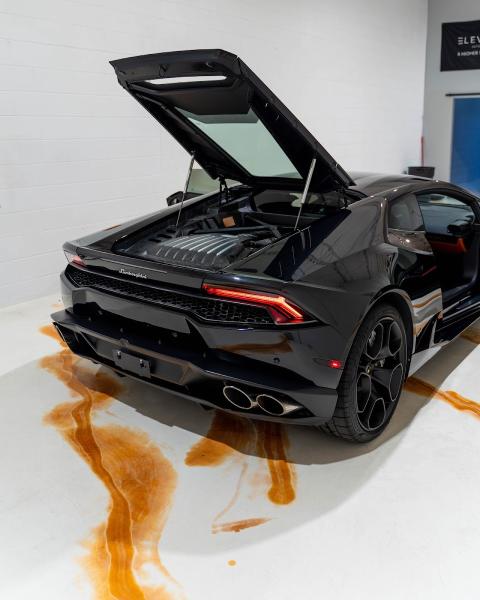 Elevate Auto Bath