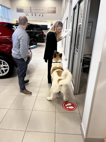 Okotoks Ford Service