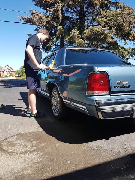 Waterdown Car Detailing