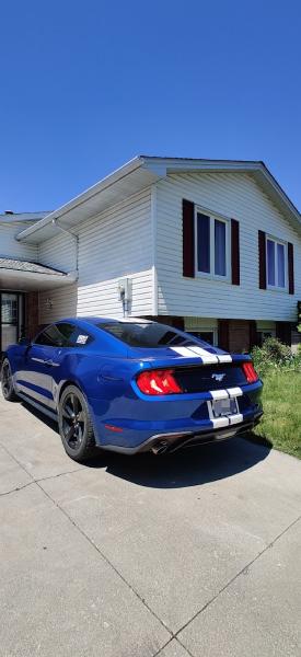 Scat Custom