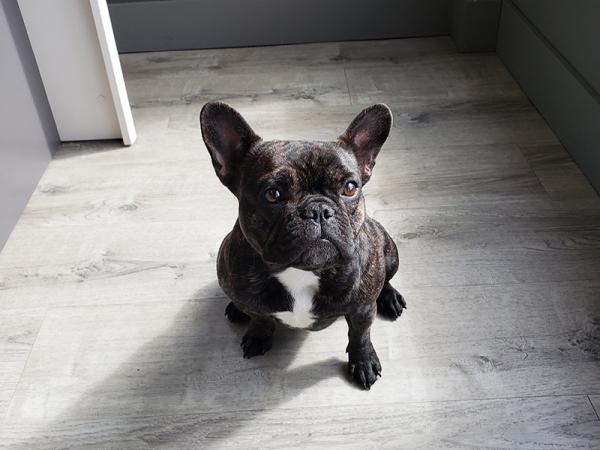 Oakwood Radiator Service Ltd