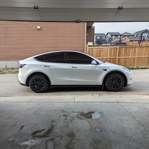 S3 Tint