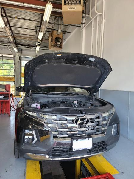 Kavin 10 Min. Oil Change