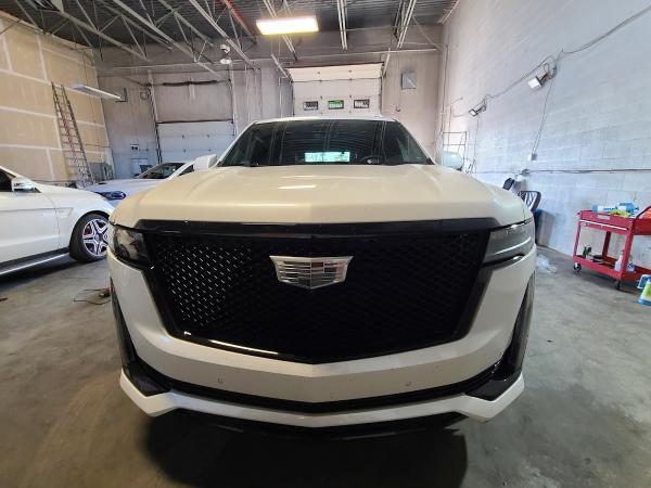 Express Tint Yyc Ltd