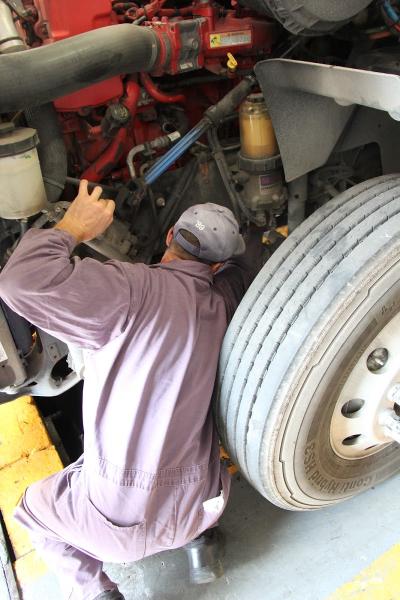 Thomson Terminals Limited