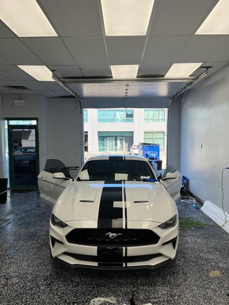 Elegant Window Tinting