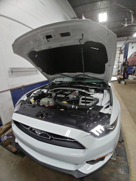 Les Experts du Pneu M.G.