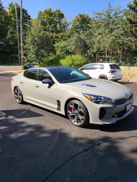 Gowenfast Auto Detailing