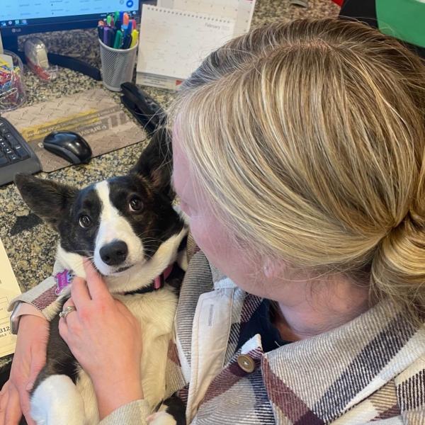 Terminal Auto Body (Carstar Parksville)