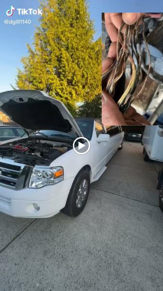 Lug Nutz Auto Care