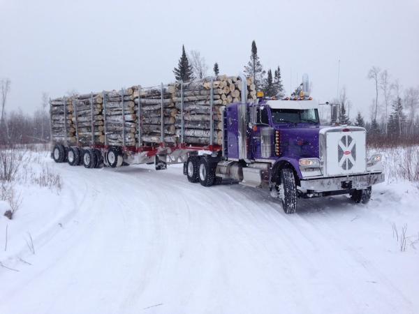 401 Trailers Inc