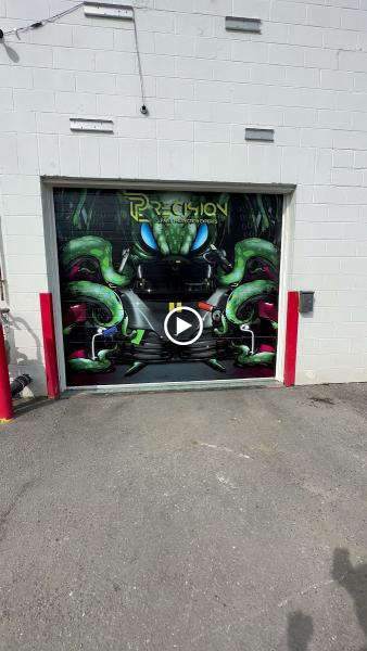 Precision Paint Protection Experts