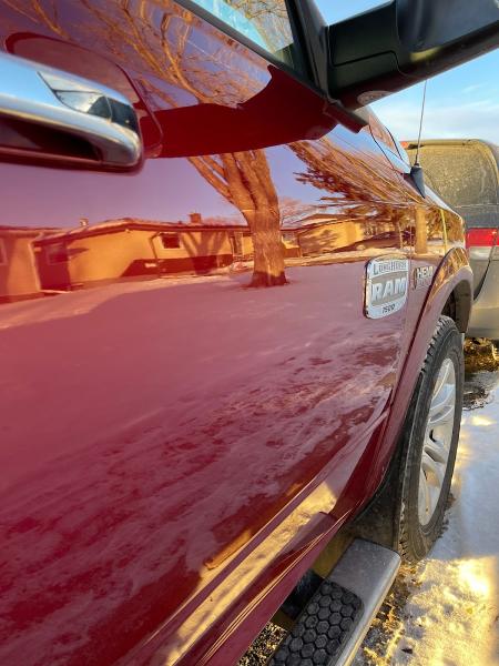 Dent Shark Paintless Dent Repair