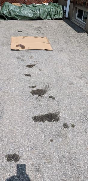 Locke Saint Tire & Automotive Inc.