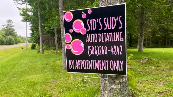 Syd's Sud's Auto Detailing