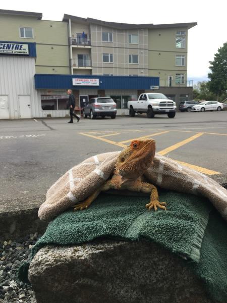 Stanford Auto Centre Inc