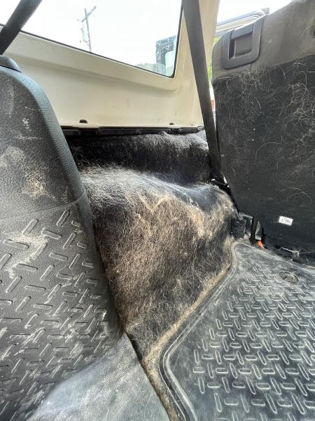 Final Touch Auto Detailing