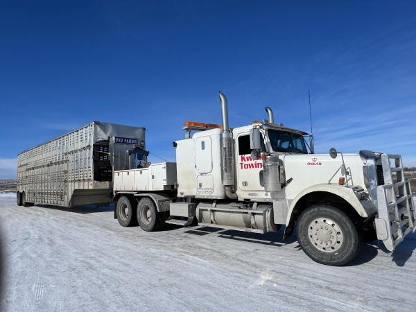 Alberta Low Cost Towing