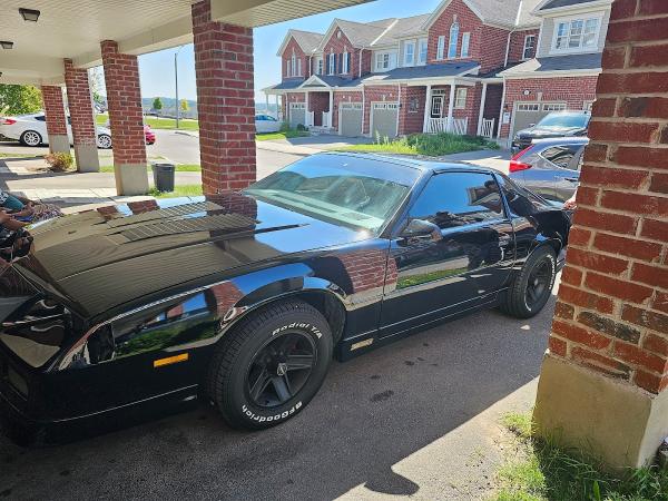 Saviz Window Tinting