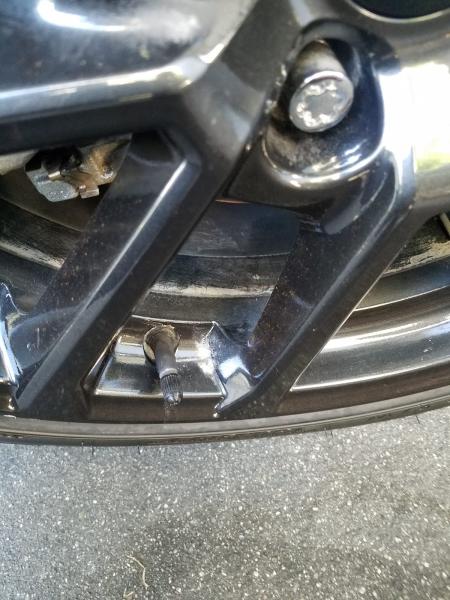 World Class Auto Care