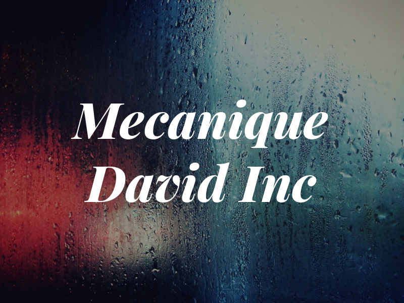 Mecanique David Inc