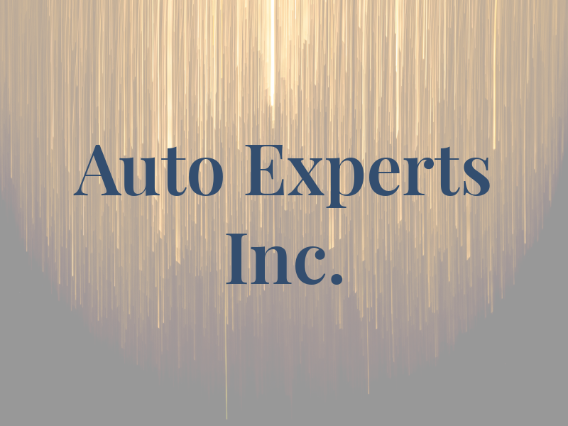 Auto Experts Inc.