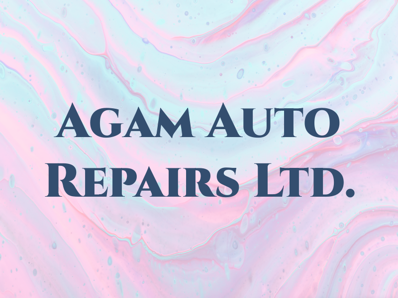 Agam Auto Repairs Ltd.