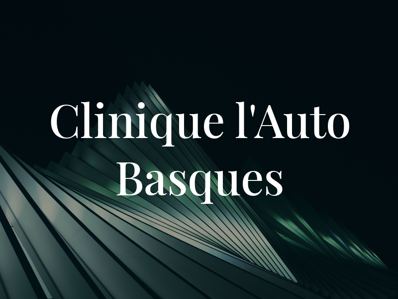 Clinique de l'Auto Des Basques Enr