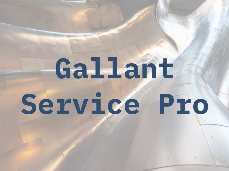 Gallant Service Pro