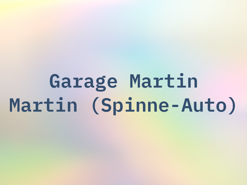 Garage Martin et Martin (Spinne-Auto)
