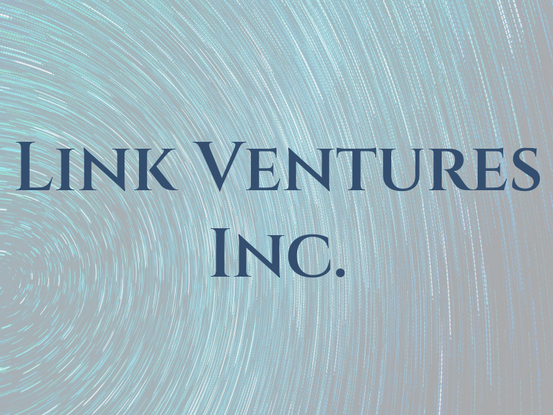 Link Ventures Inc.