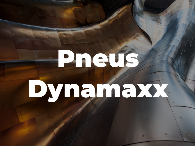 Pneus Dynamaxx