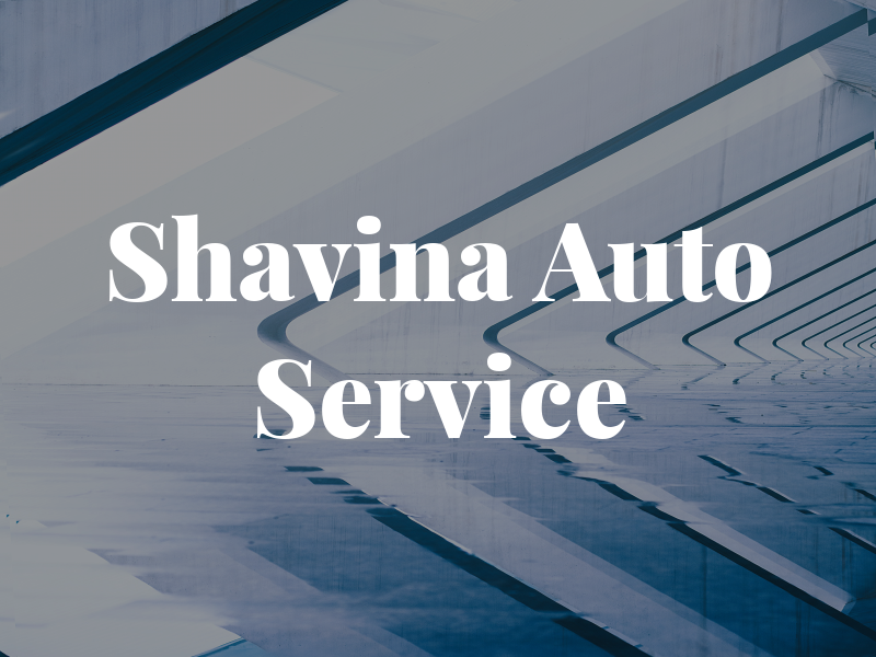 Shavina Auto Service