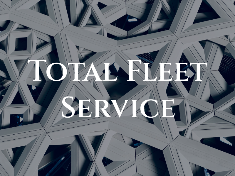 Total Fleet Service Inc