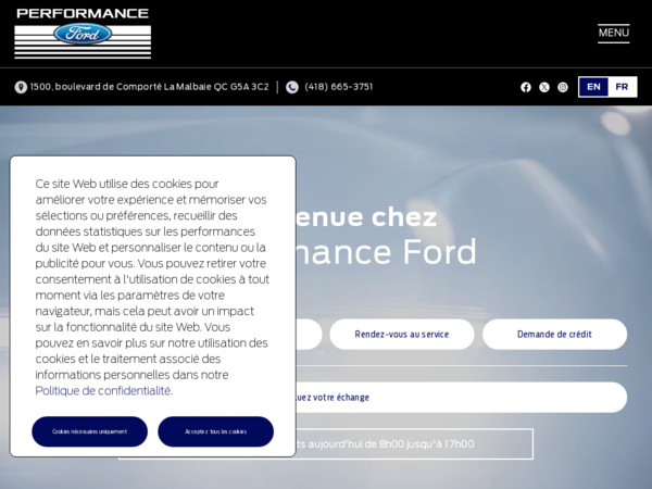 Performance Ford Service