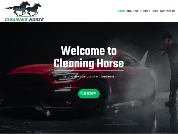 Cleaninghorse.ca