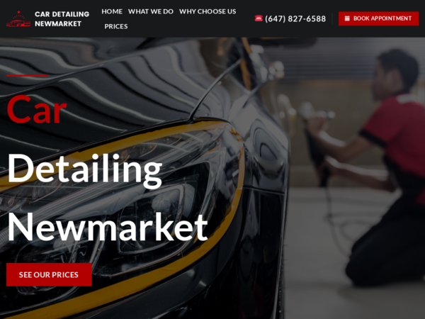 Car Detailing Newmarket