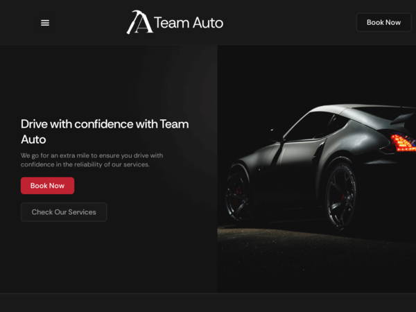 Team Auto